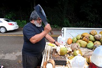 Seller coconut
